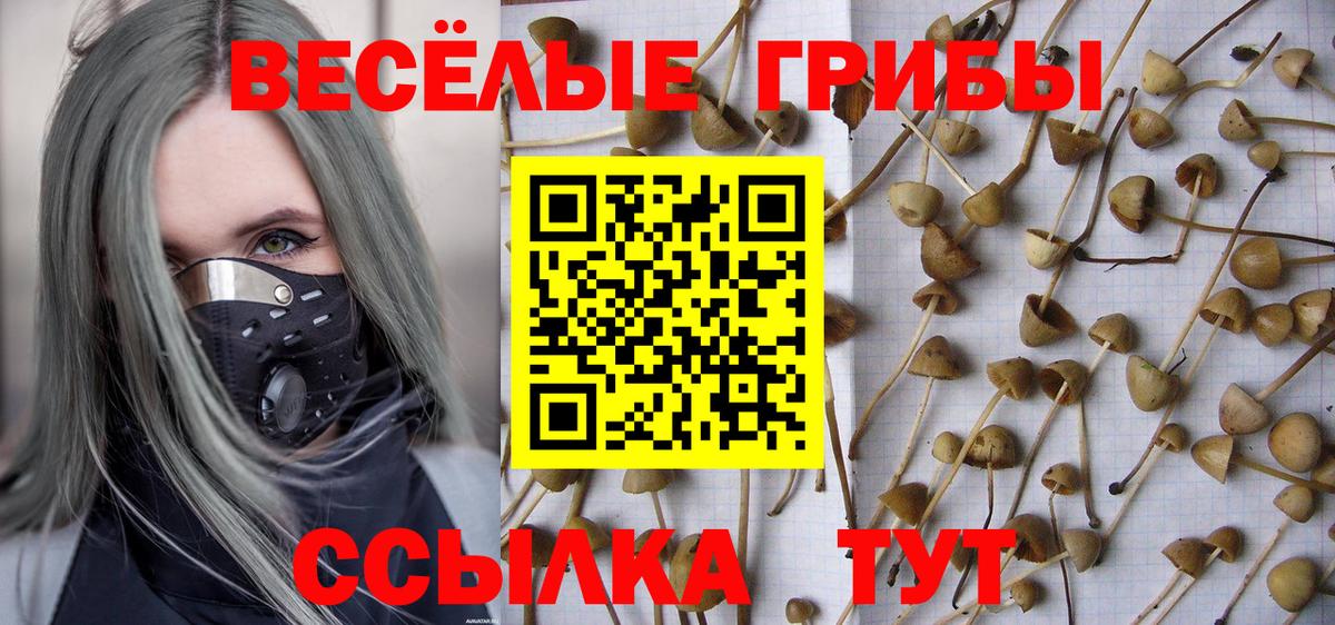 Галлюциногенные грибы MAGIC MUSHROOMS  Вход с VPN  Псилоцибиновые грибы мухоморы  Костомукша 